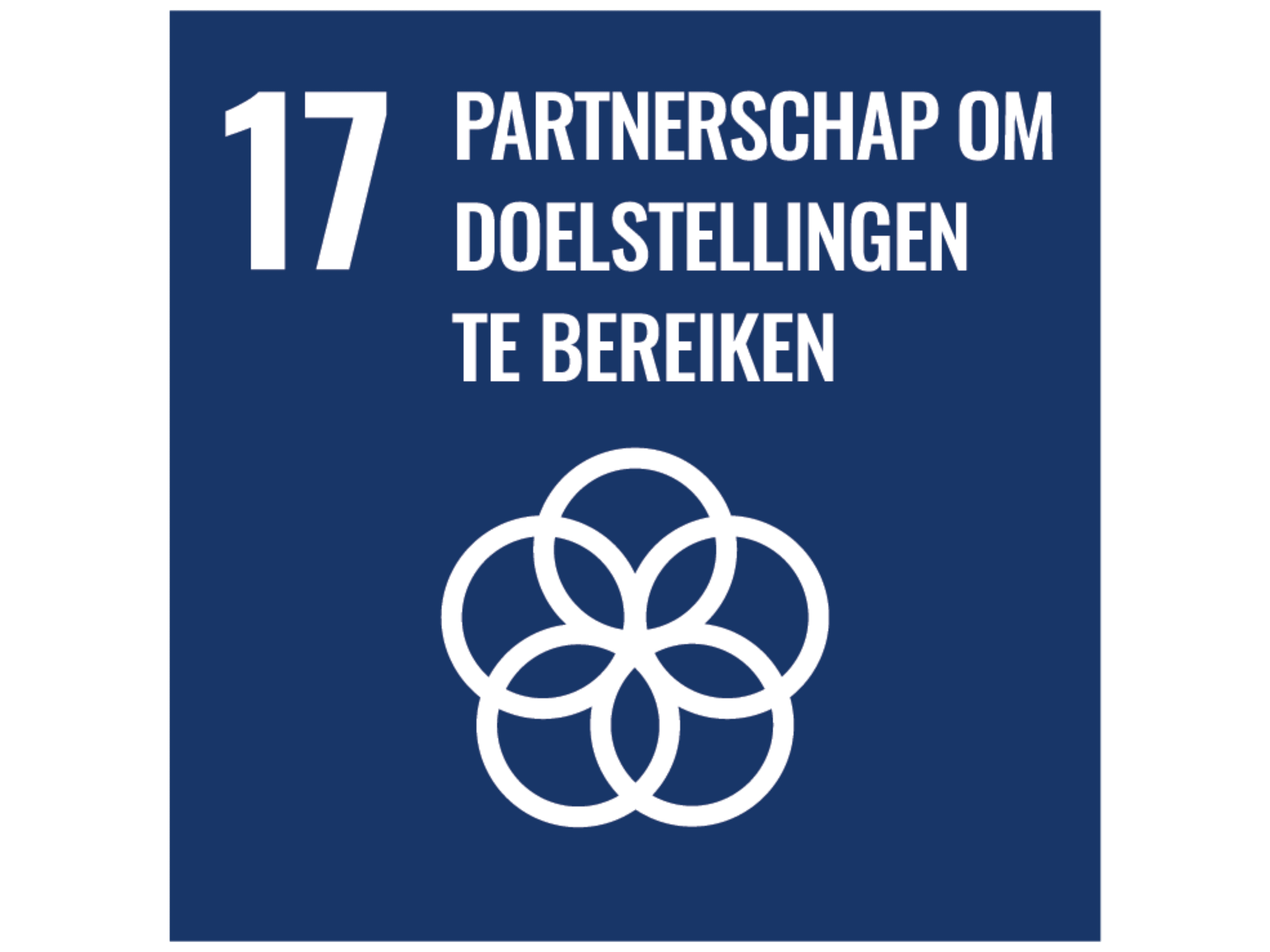 SDG 17: partnerschap om de doelen te bereiken image